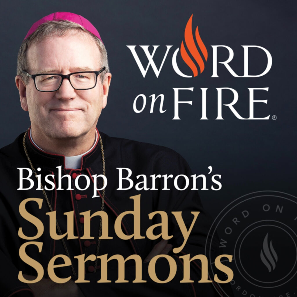 You Can’t Give What You Don’t Have – Bishop Barron Sunday Sermon