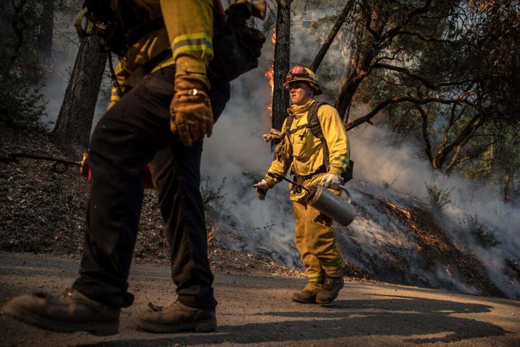 Setting fire to a million acres of California could cut smoke by half