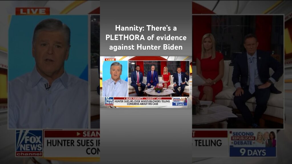 Hannity reacts to Hunter Biden lawsuit: IRS agents should file ‘counter-suit’ #shorts