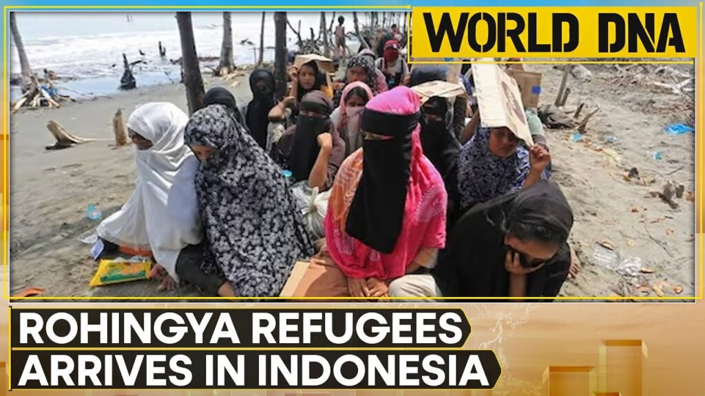 At Least 75 Rohingya Refugees Sail to Indonesia | World DNA | WION News