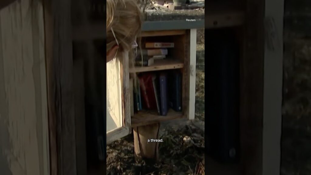 L.A. family returns to destroyed home to find “little free library” still standing #shorts