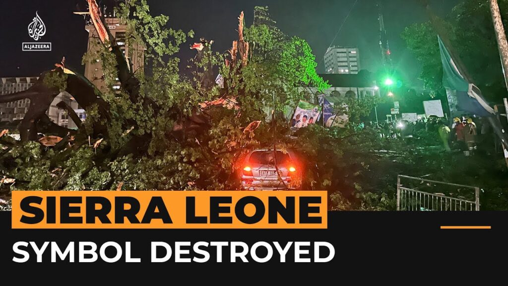 Sierra Leone’s ‘national symbol’ Cotton Tree destroyed in storm | Al Jazeera Newsfeed