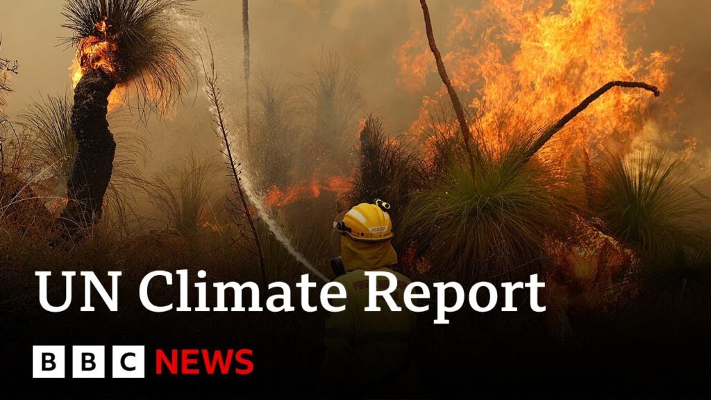 UN climate report: Scientists release ‘survival guide’ to avert climate disaster – BBC News