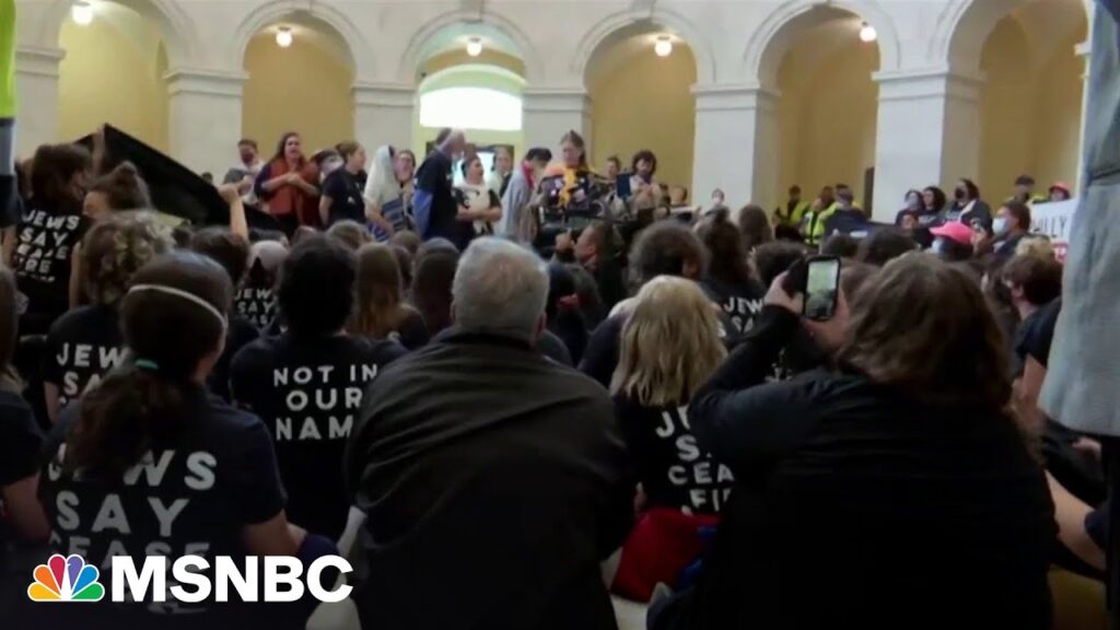 Protesters on Capitol Hill call for Gaza ceasefire