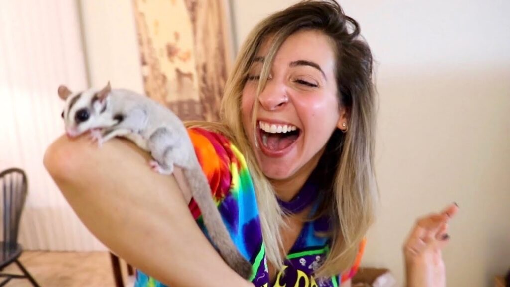 SURPRISING HER WITH BABY SUGAR GLIDER!!