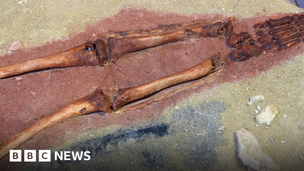 Skeleton reveals early humans had sex with Neanderthals – BBC News