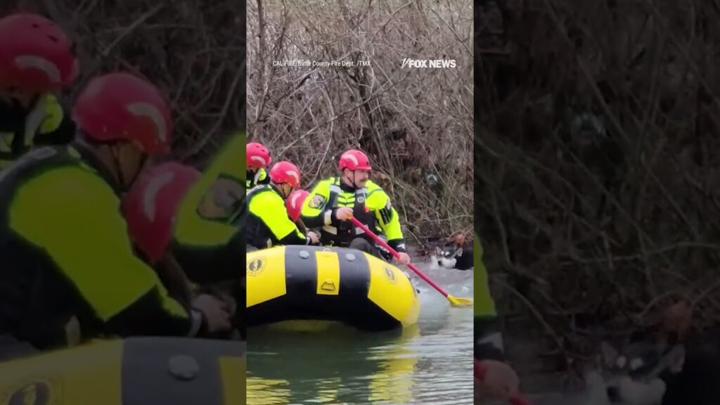HUSKY HEROES: Firefighters in California rescued two dogs trapped on an island in the Feather River
