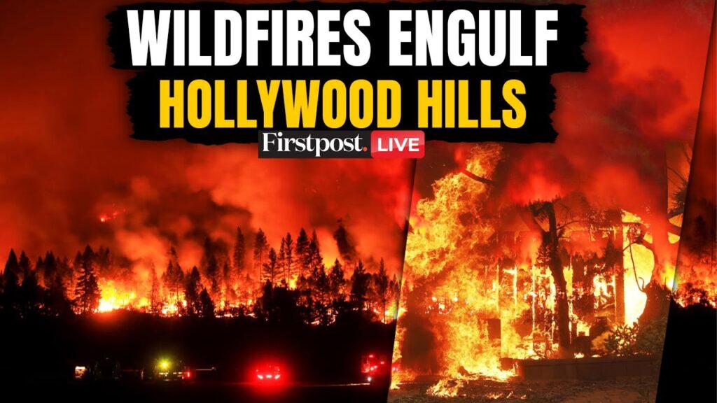 California Wildfire LIVE: 11 Dead, 10,000 Structures Burnt as Los Angeles Wildfires Continue to Rage