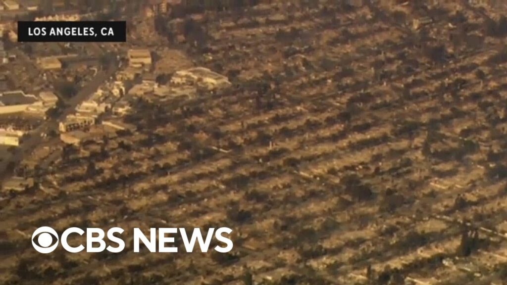 L.A. homes reduced to ashes amid fires