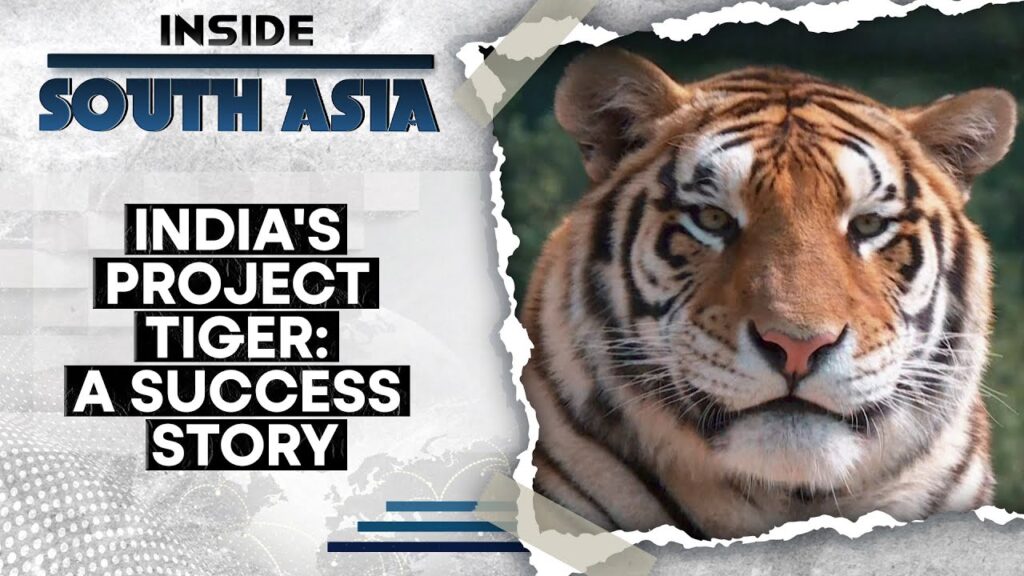 India’s Tiger Population Doubles In A Decade | Inside South Asia | WION