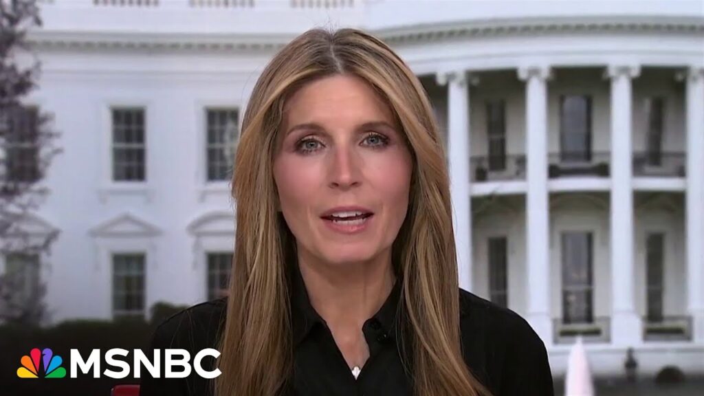 Nicolle Wallace: ‘I’d like to say how did this happen but I think we’re all watching in real time’