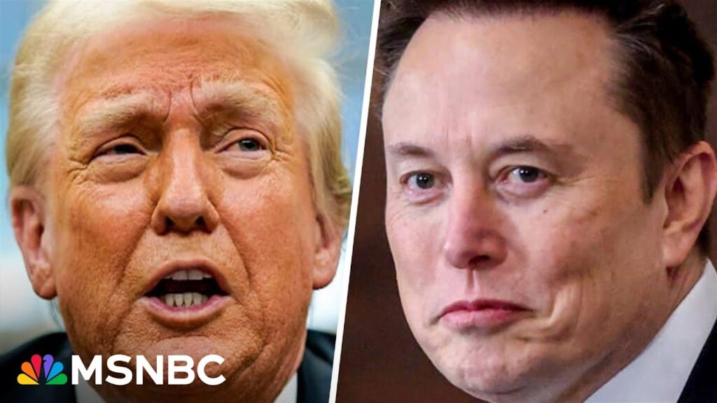 Trump and Musk’s shakeup is like ‘bull in a china shop’, impacting Americans across country