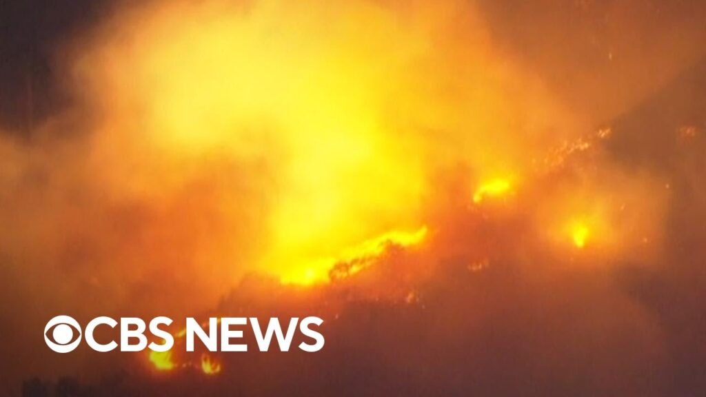 L.A. fire official on new Hollywood Hills blaze