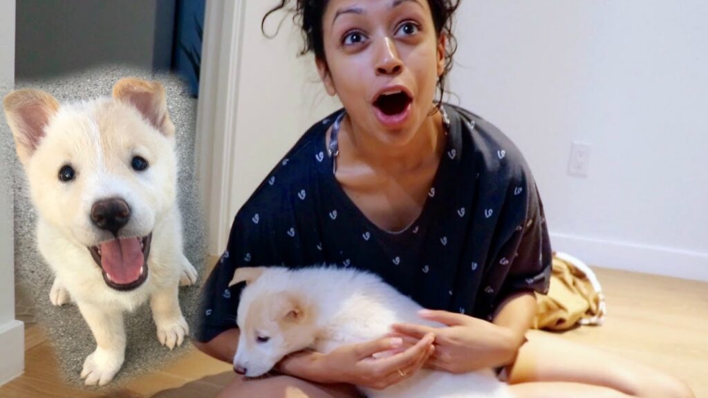 SURPRISING GIRLFRIEND WITH NEW PUPPY!!