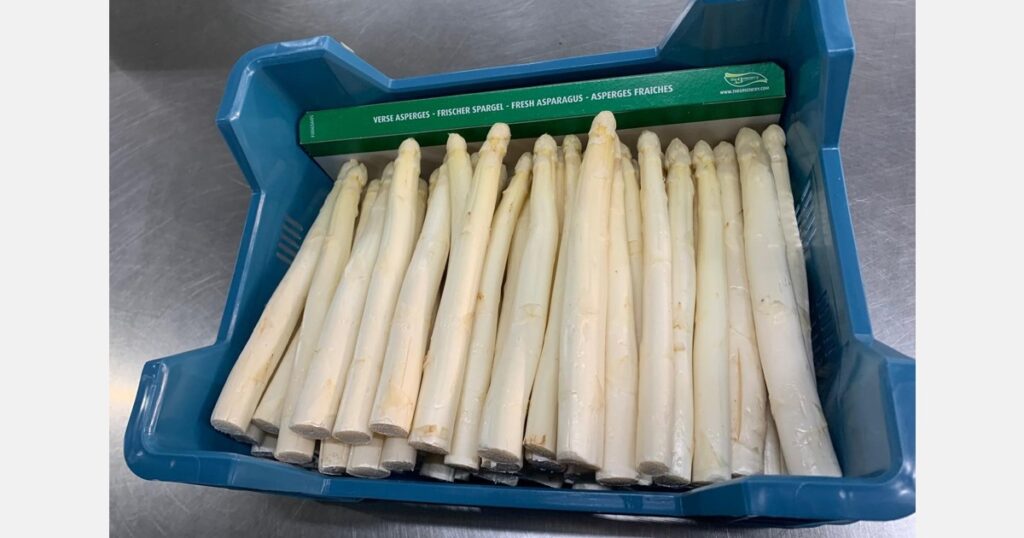 Dutch white asparagus season begins amid market challenges for fresh herbs