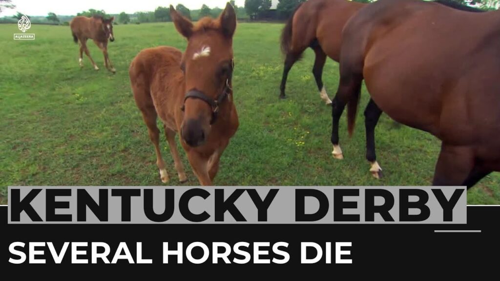 Probe launched after several horses die ahead of Kentucky Derby