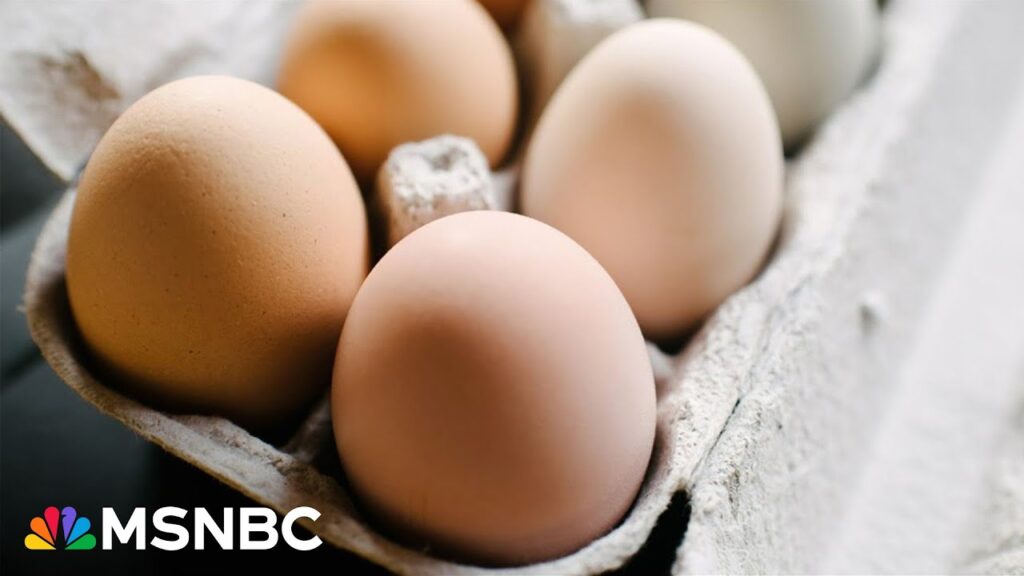 Egg farmer stresses need for bird flu vaccine amid egg shortages