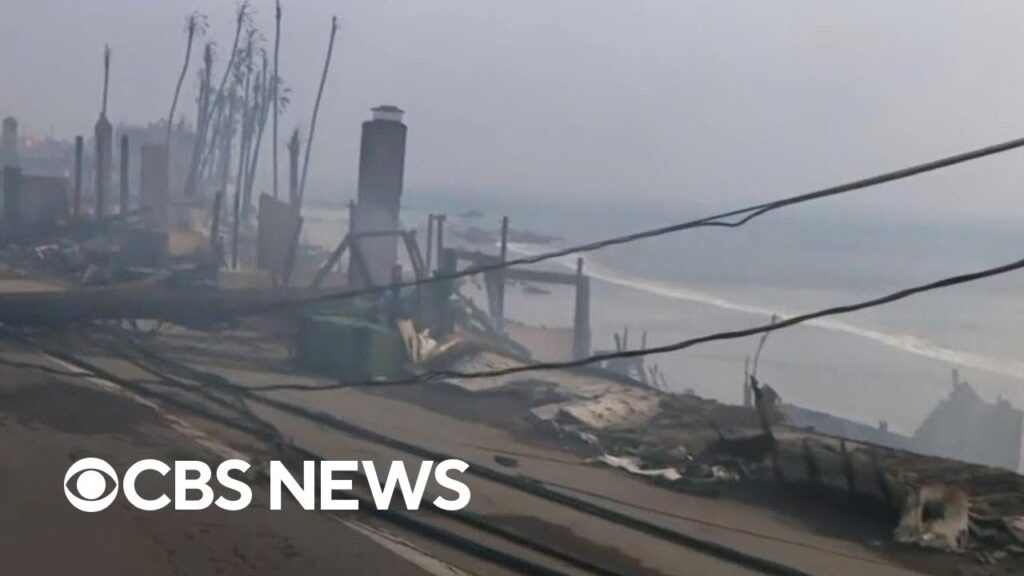 Power lines fell as Palisades Fire raged in California