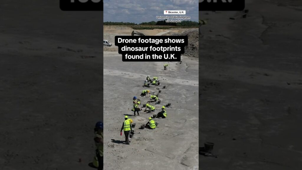 Drone footage shows dinosaur footprints found in the U.K. #shorts