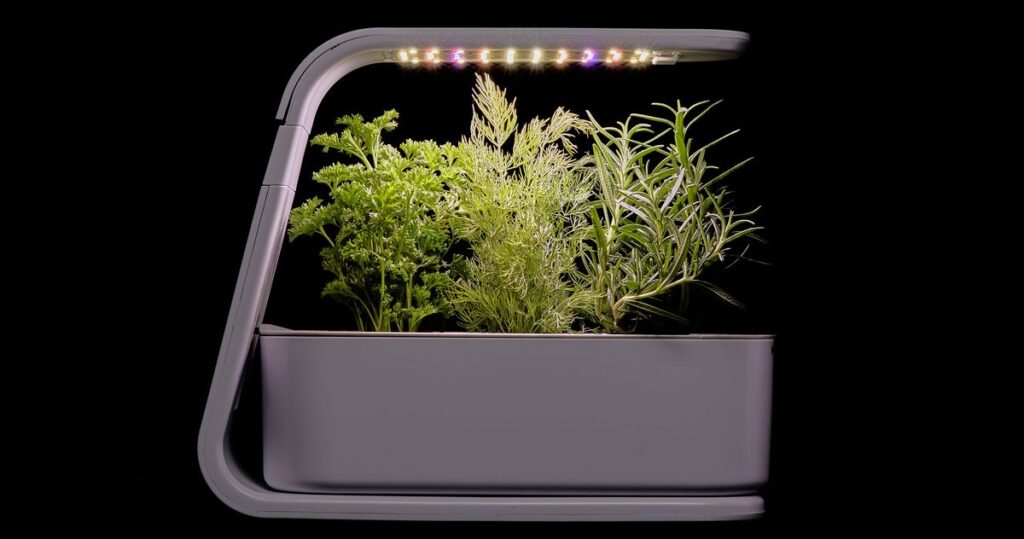 Best Indoor-Garden Kits | The Strategist