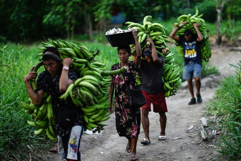 UN talks end in Rome with nations backing 0 billion a year plan to protect nature