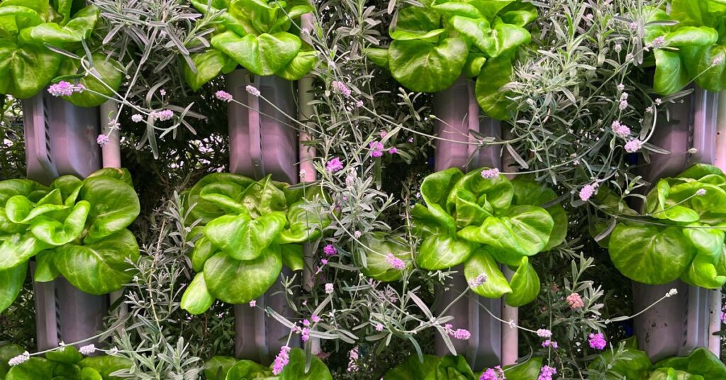 Eden Green Herb Program: the 200 Best Inventions of 2024