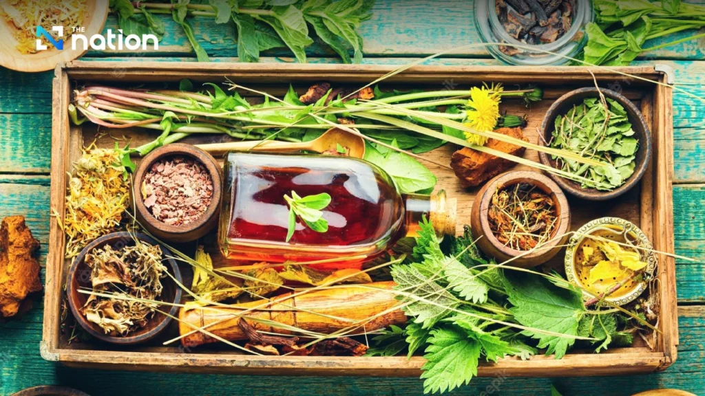 Thai herbal medicine promoted as alternative to Western treatments