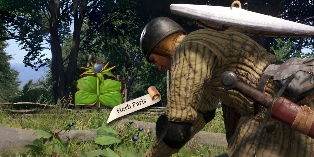 Where to Find Herb Paris in Kingdom Come: Deliverance 2