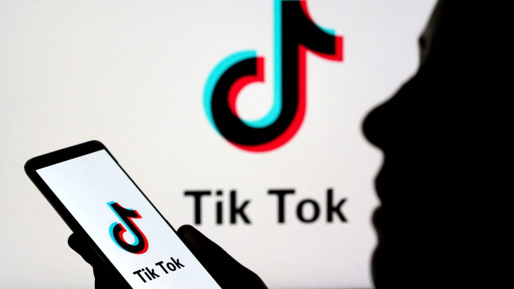 TikTok fined millions for illegally sending users’ data to China | Science, Climate & Tech News