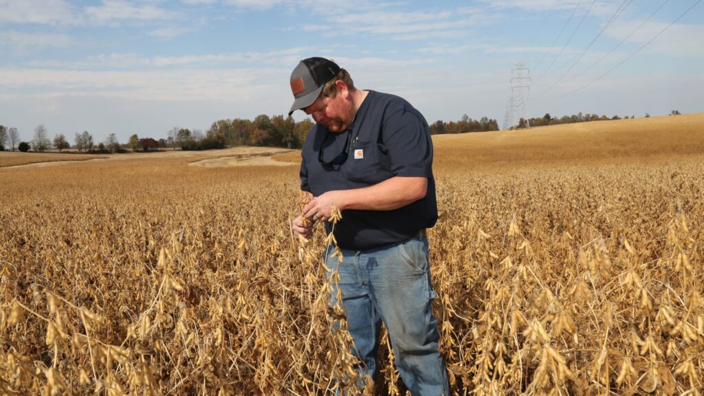 How Trump’s trade policy is putting pressure on U.S. farmers