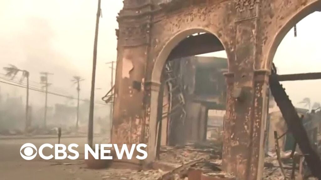 New images of Pacific Palisades fire destruction