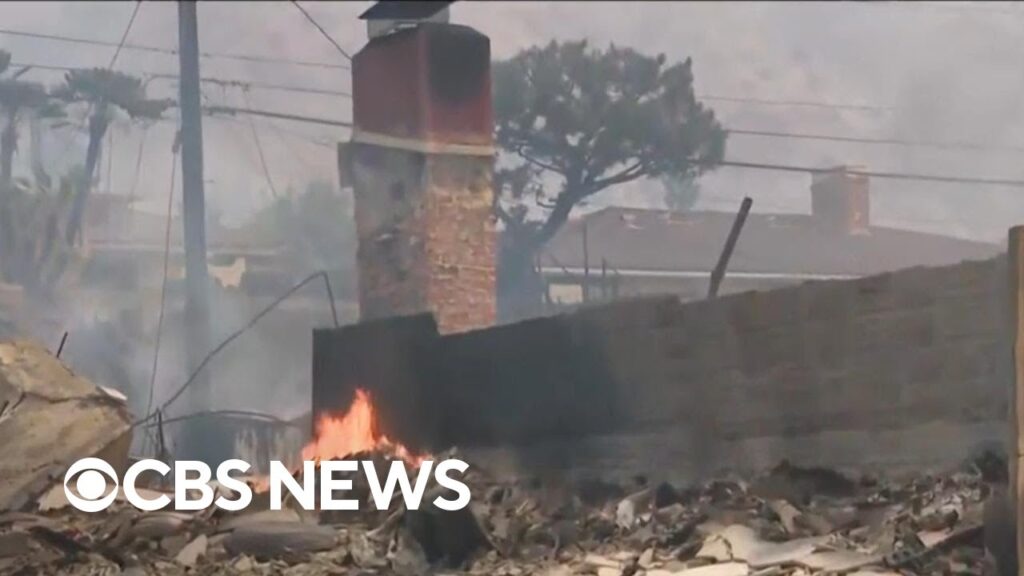 Los Angeles resident evacuated as his neighborhood burned