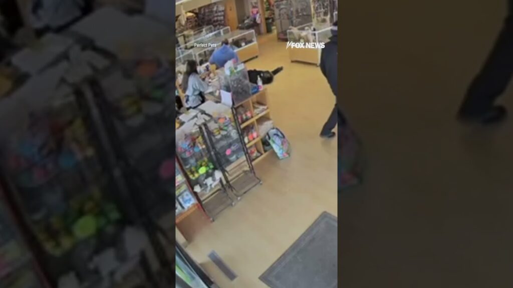 Two bandits fake seizure to steal puppies from store