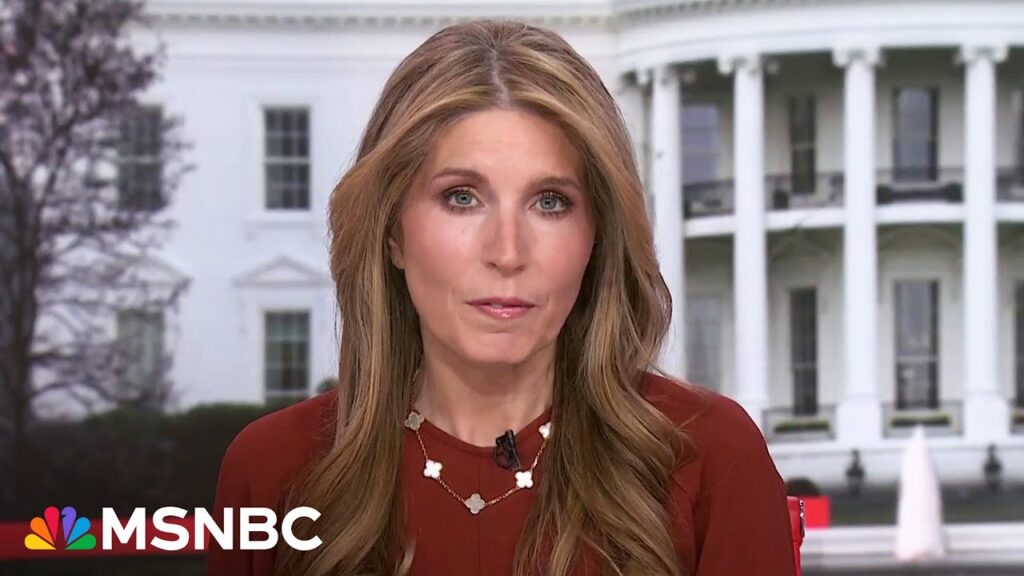 ‘They nominated a drunk uncle, but they didn’t want him to drive’: Nicolle Wallace on Trump’s voters