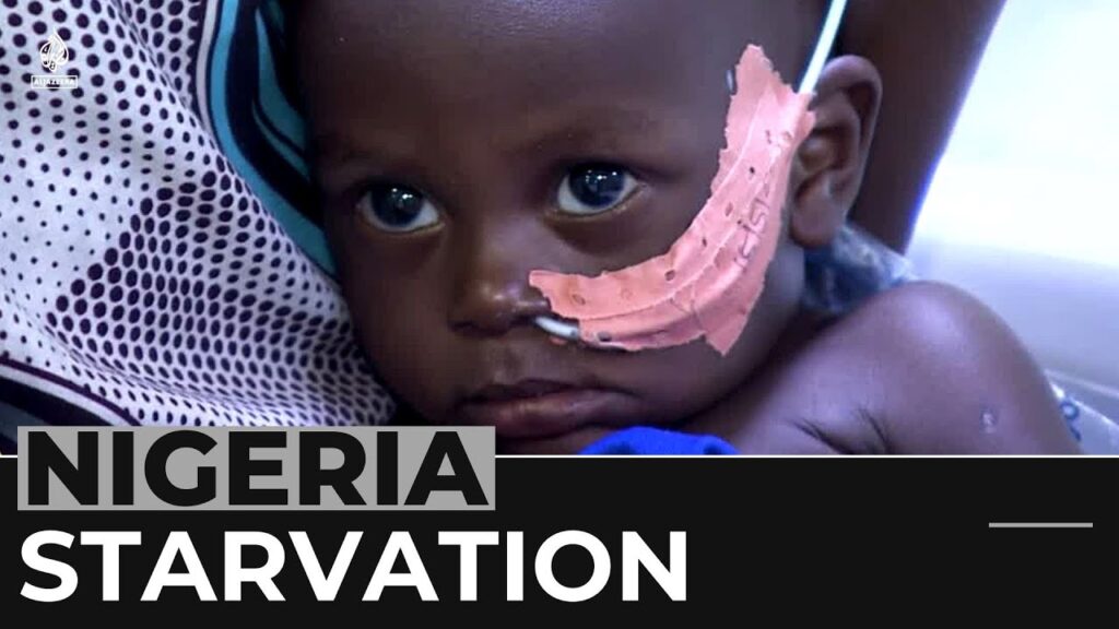 Nigeria malnutrition: Aid groups warn of children in danger