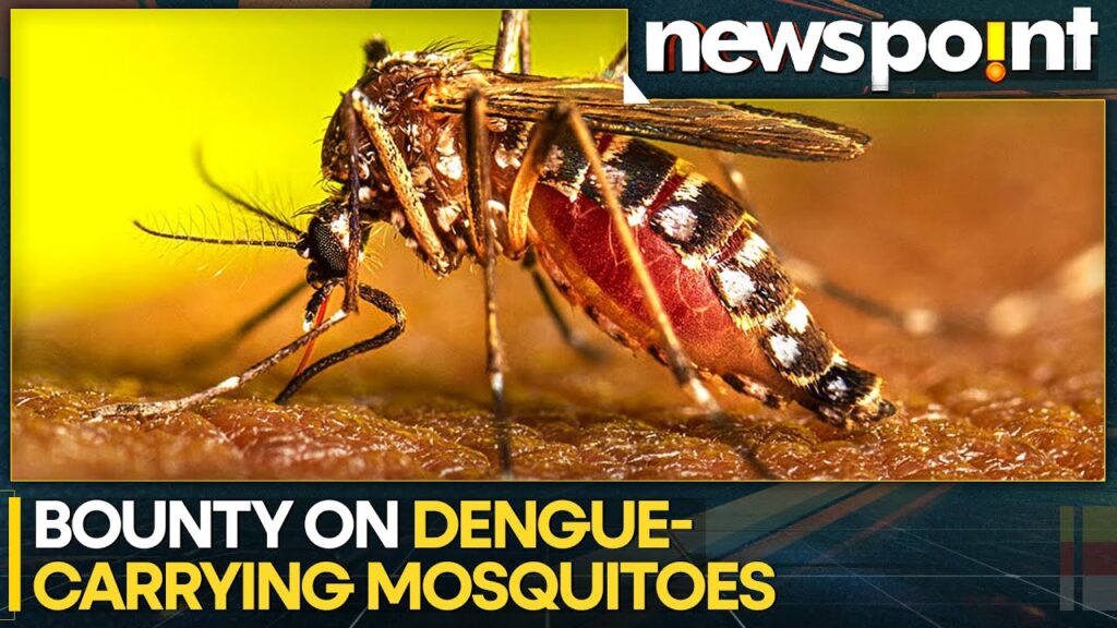 Philippines Village Offering Bounties for Killing Mosquitoes | World News | WION Newspoint