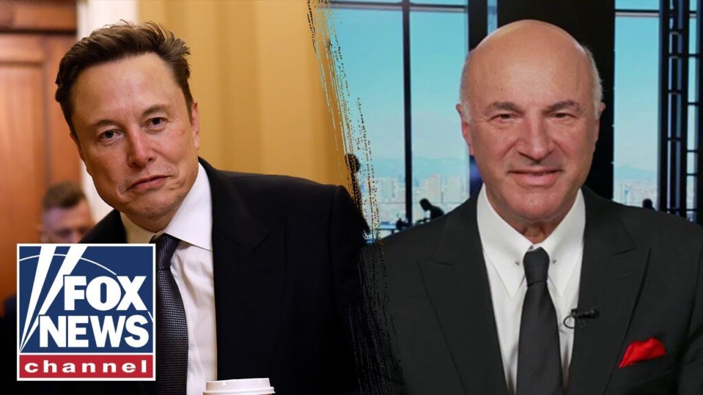 ELON THE ‘ENIGMA’: Let Musk ‘do his thing,’ O’Leary says