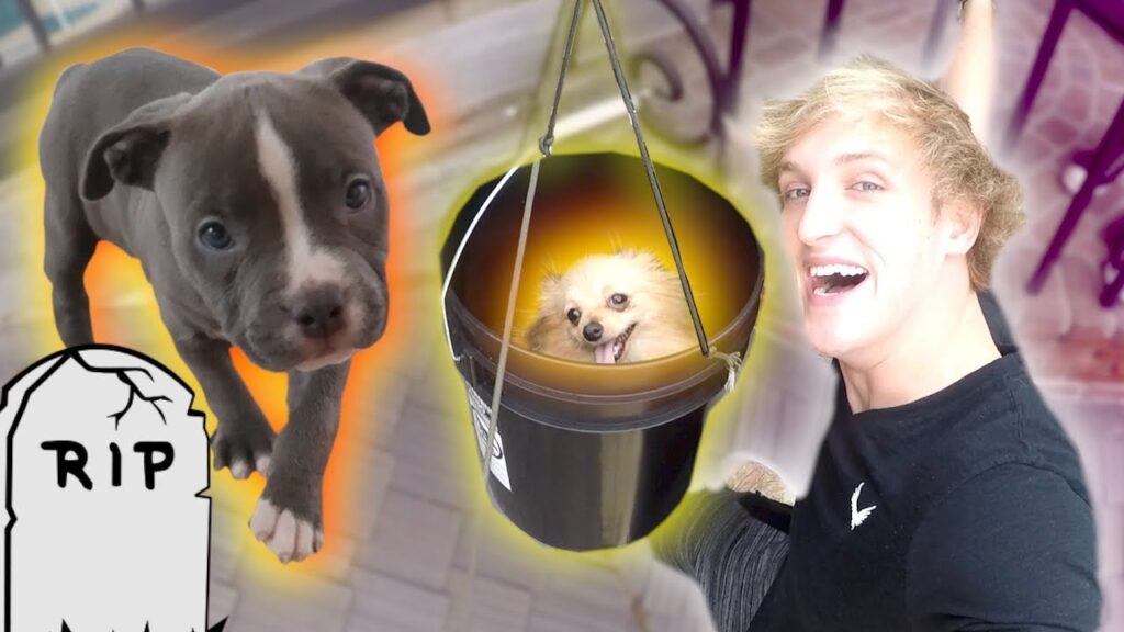 100-FOOT PUPPY ZIP LINE! **Rip Arya**