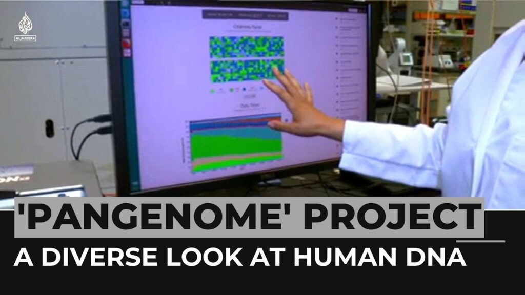 New ‘Pangenome’ project reveals diverse look at human DNA