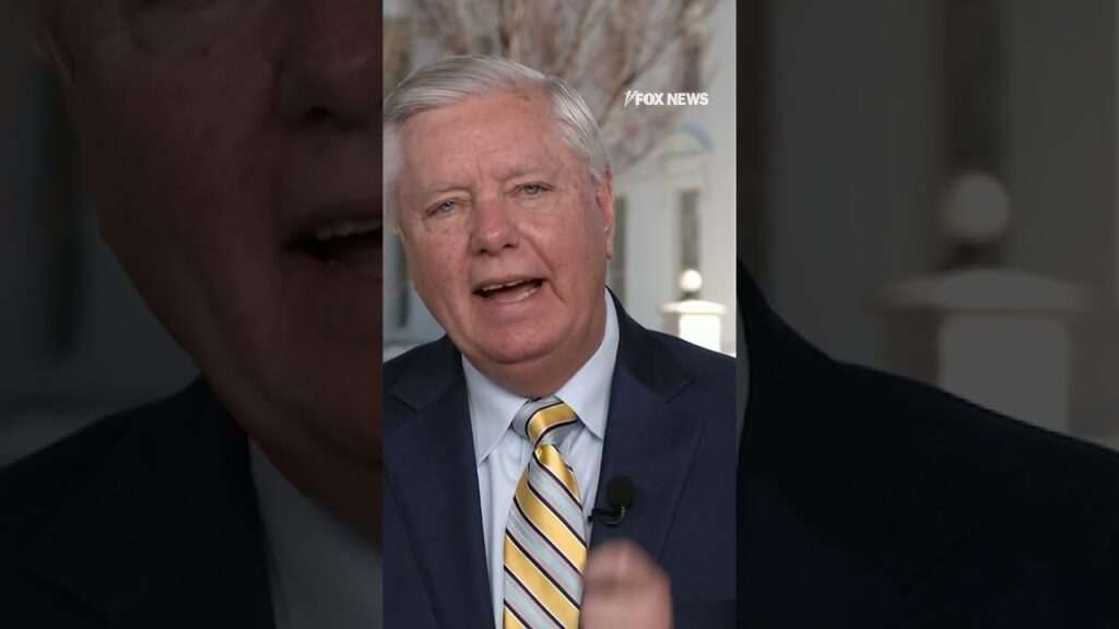 Sen Graham: ‘Zelenskyy is either going to have to fundamentally change or go’