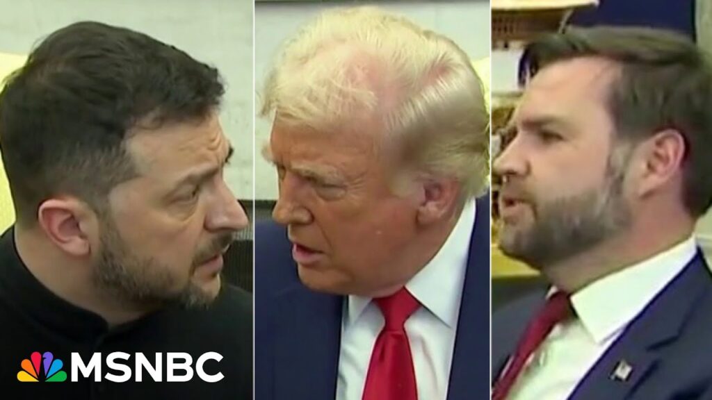 ‘Cesspool of stupid’: Trump, Vance imply Zelenskyy never thanked America. Watch Zelenskyy thank U.S.