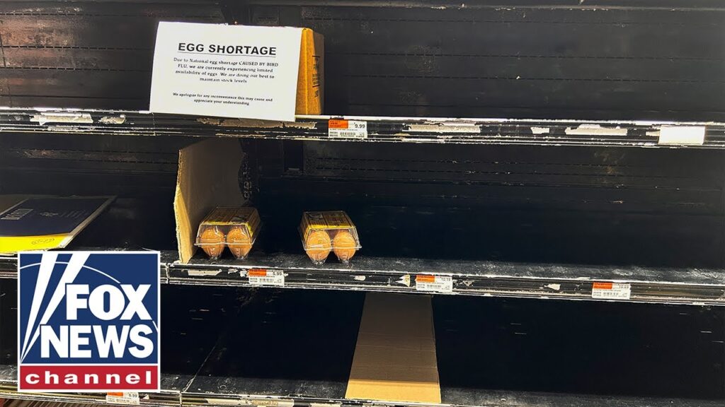 USDA predicts spike in egg prices amid bird flu, egg shortages