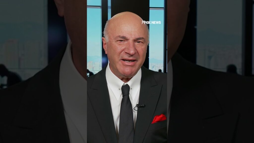 O’Leary slams Dems for burning over a billion dollars in election loss