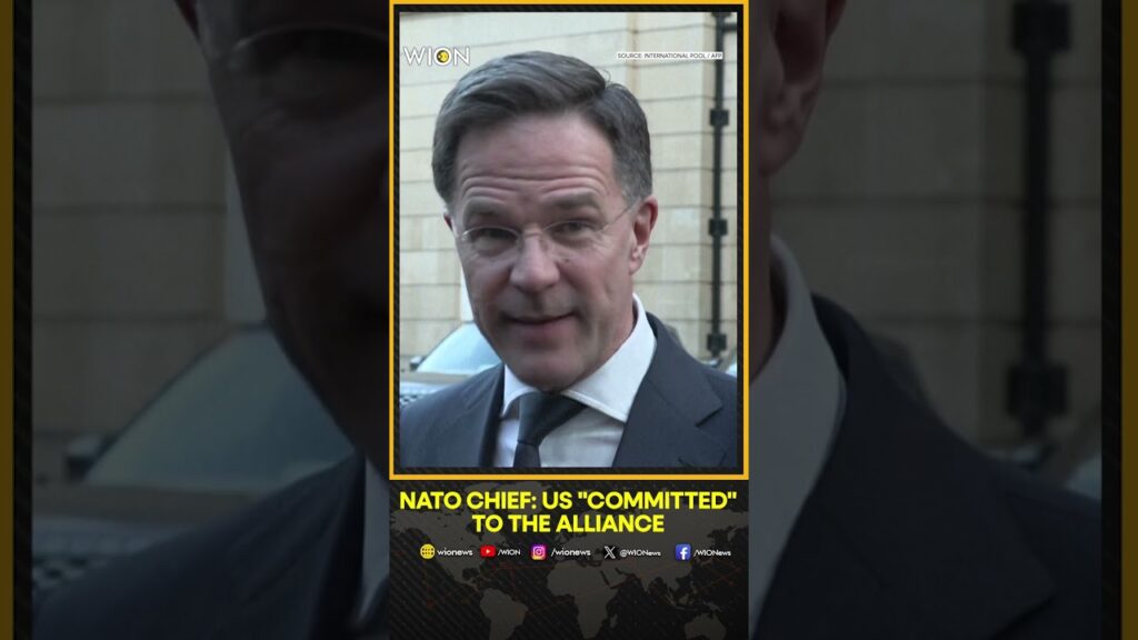 European Countries Will Increase Defence Spending And US “Committed To Alliance | WION Shorts