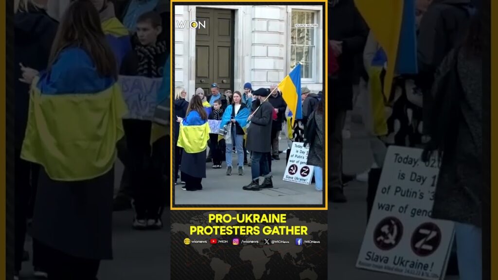 EU Summit: Pro-Ukraine Protesters Gather As European Leaders Hold Ukraine Summit | WION Shorts