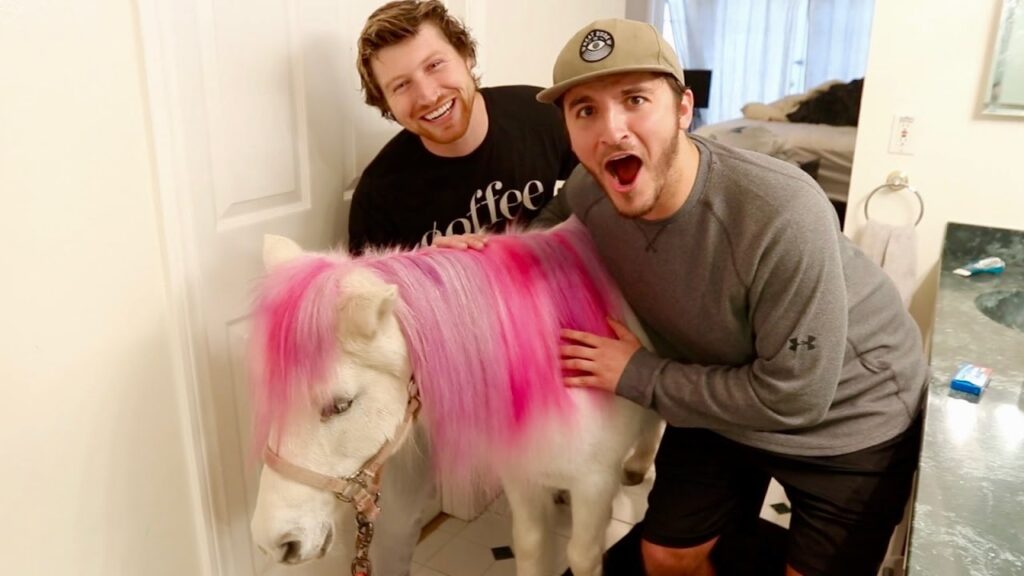 SURPRISING FRIENDS WITH A REAL PONY!!