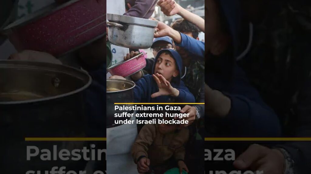 Palestinians in Gaza suffer extreme hunger under Israeli blockade | AJ#shorts