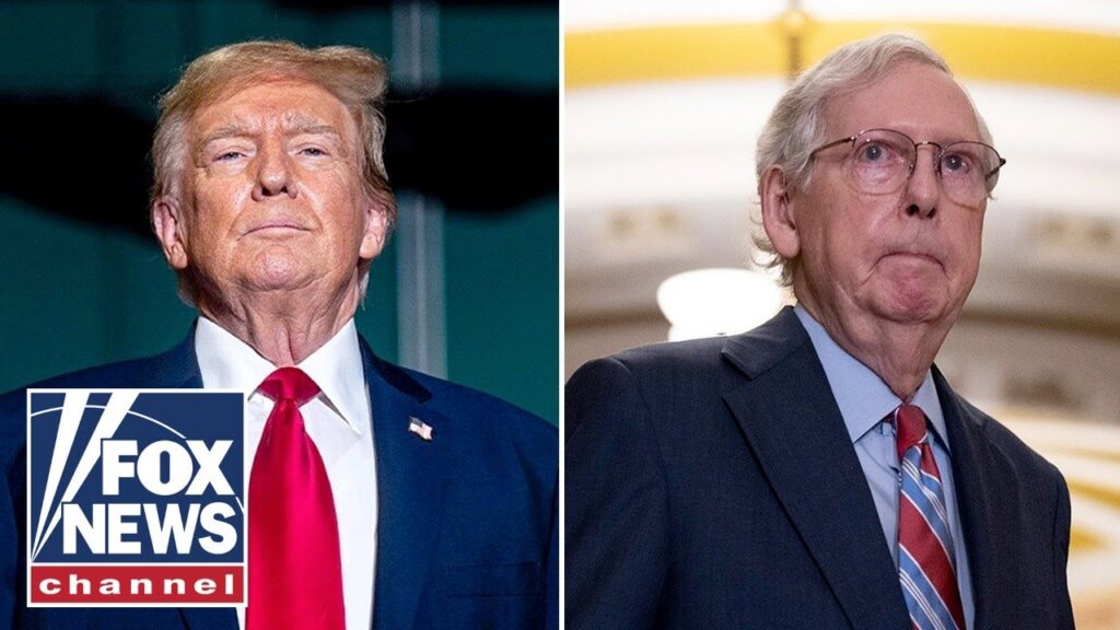 Trump eviscerates Mitch McConnell: ‘He never really had it’