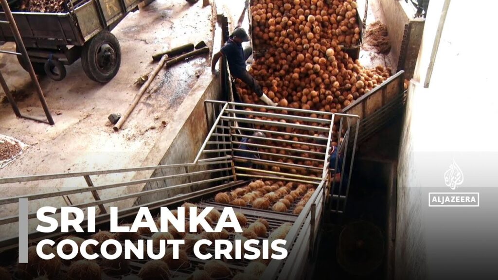 Sri Lanka coconut crisis: Shortages, soaring prices threaten staple food and exports