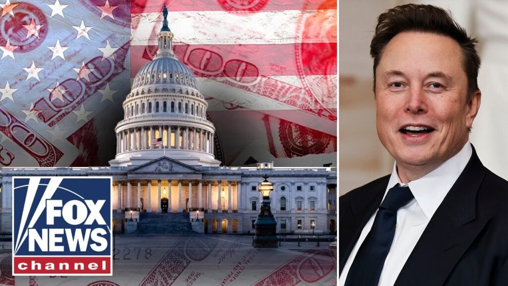 Rich Lowry: Elon Musk needed to ‘break the ice’ in bureaucracy